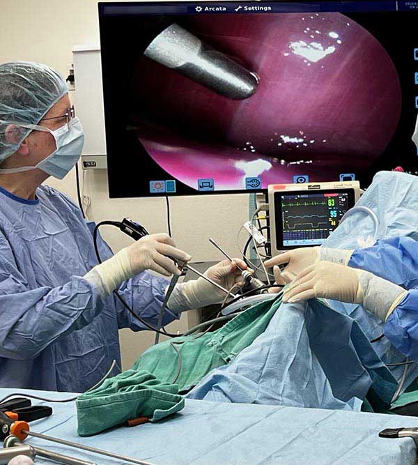 lap-s2-edit Veterinary laparoscopic procedure at Arcata Animal Hospital in Arcata, CA