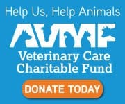 Animal Hospital in Arcata: Donate to AVMF today