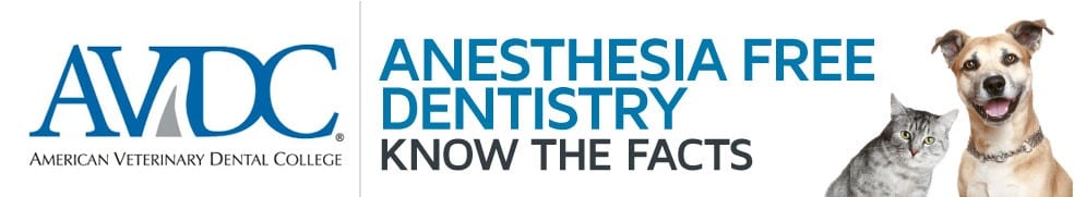 Anesthesia Free Dentistry Know the facts