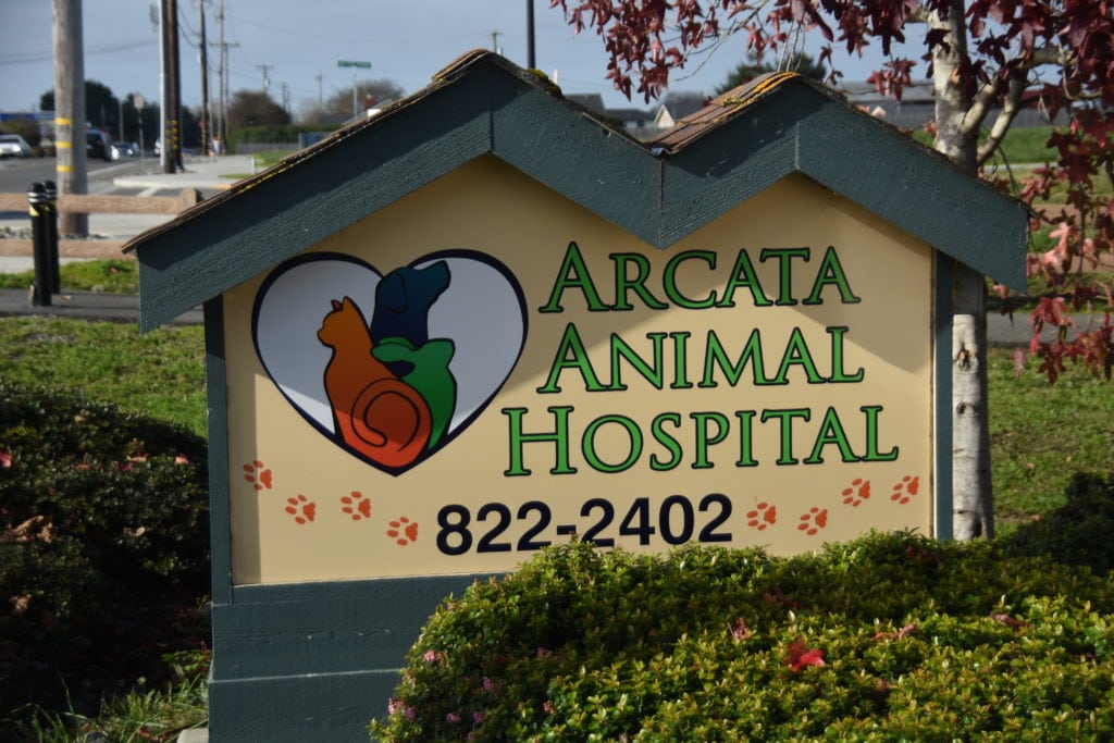 Animal Hospitals in Arcata