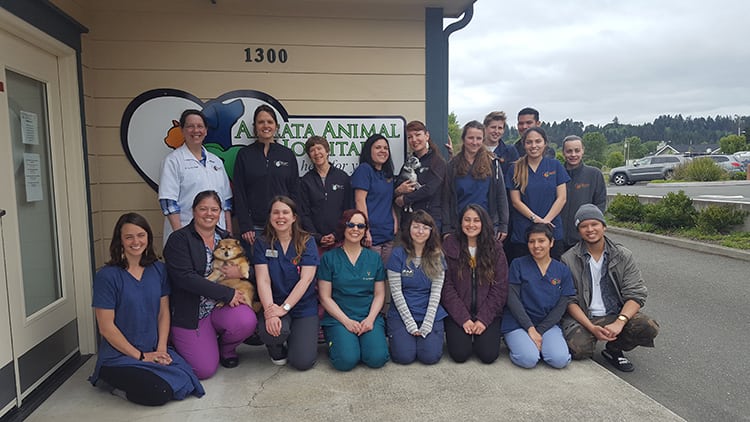 Our Staff in Arcata: Our hospital staff