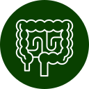 Veterinarian examining pet for gastrointestinal disorders at Arcata Animal Hospital
