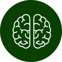 Veterinarian assessing pet for neurological issues at Arcata Animal Hospital
