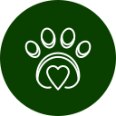 Veterinarian administering pain relief treatment to pet in Arcata, CA
