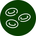 Platelet-rich plasma (PRP) vials prepared for veterinary therapy at Arcata Animal Hospital
