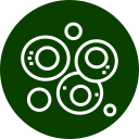 Stem cell therapy preparation for veterinary regenerative medicine treatment in Arcata, CA
